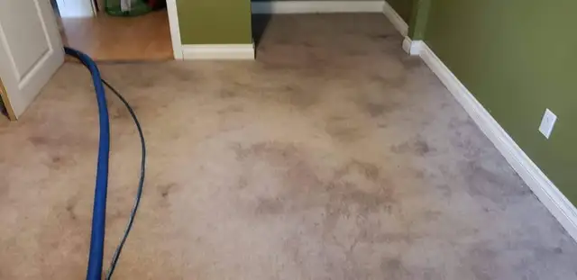 Viz Carpet Sofa an Rug Cleaner