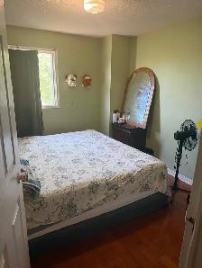 3 Bedroom House  for rent from October-01 - Photo 2