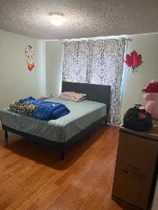 3 Bedroom House  for rent from October-01 - Photo 3
