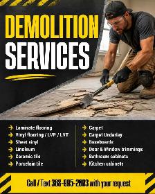 Cabinets / Flooring Removal / Demo