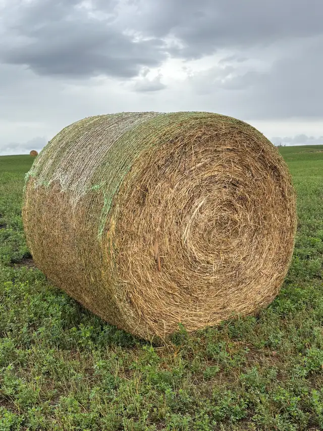 Quality Round Hay Bales! 9 cents/lb