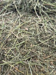 Quality Round Hay Bales! 9 cents/lb - Photo 2