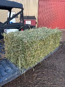 Quality Round Hay Bales! 9 cents/lb - Photo 3