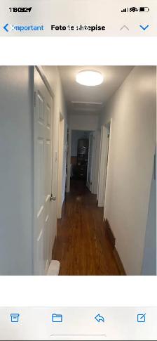 3 Bedroom Main Floor for Rent November 1 - Photo 6