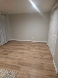 Room / 2 rooms / basement for rent