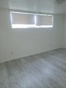 Room for Rent (October 1)