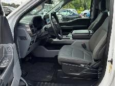 2024 Ford F-150 XLT Crew 4WD | 6.5' Box | 3.5L EcoBoost | 301A - Photo 3