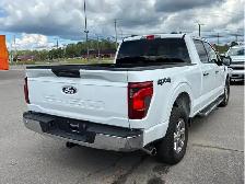 2024 Ford F-150 XLT Crew 4WD | 6.5' Box | 3.5L EcoBoost | 301A - Photo 4