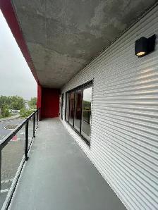 Luxury Senior 50  Only 1 Beds, 2 Beds   Den $1995-$2395 Nov/Dec - Photo 5