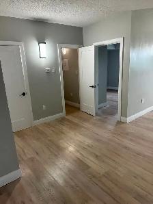 Brand new one Bedroom available October - Photo 5