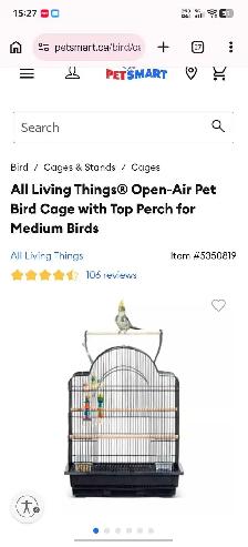 Bird and parrot cage
