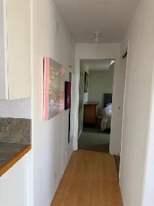 1-Bedroom Semi-Furnished Suite for Rent – $1,100/month - Photo 10