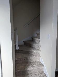 Renovated 3-Level 2BR Townhouse - 31 Gaston Rd - Dec 1 - $1,695! - Photo 8