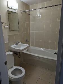 Renovated 3-Level 2BR Townhouse - 31 Gaston Rd - Dec 1 - $1,695! - Photo 13