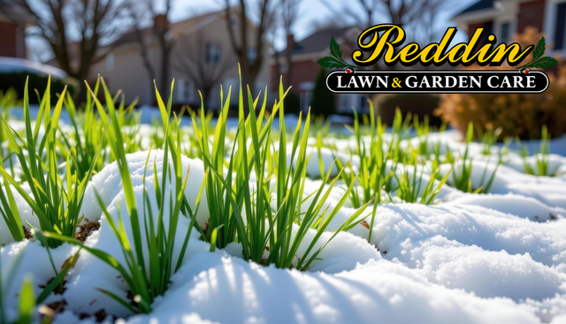 Snow Removal Pre-Booking