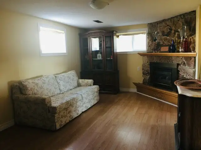 Spacious 1 1 BR Basement Unit (Dixie Outlet Mall)