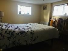 Spacious 1 1 BR Basement Unit (Dixie Outlet Mall) - Photo 2