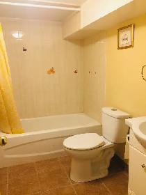 Spacious 1 1 BR Basement Unit (Dixie Outlet Mall) - Photo 3