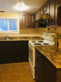 Spacious 1 1 BR Basement Unit (Dixie Outlet Mall) - Photo 4