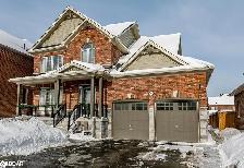 Beautiful 1 1 Bed Basement Apartment, Springwater - Photo 13