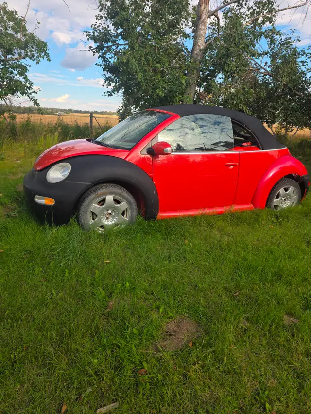 2003 Vw Beetle - Runs. Lost key, selling as is.