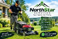 Professional cleaning - Photo 2
