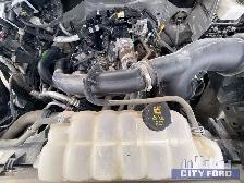 2024 Ford F-150 STX 4x4 SuperCrew 5.5' Box - Photo 24