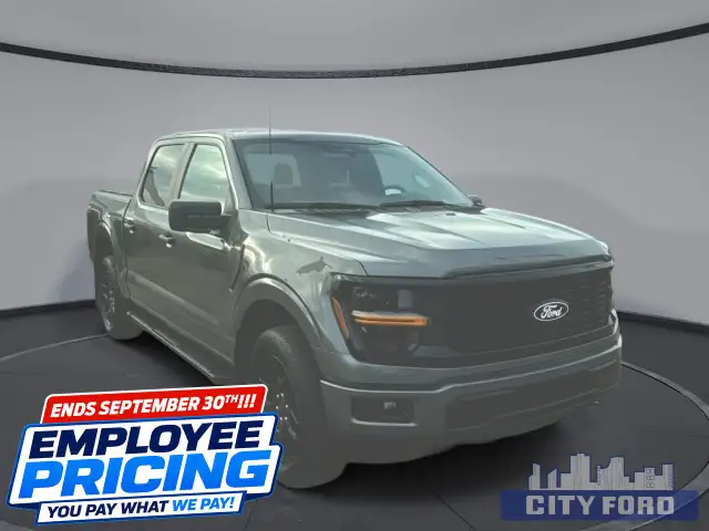 2024 Ford F-150 STX 4x4 SuperCrew 5.5' Box