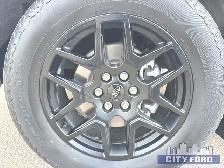 2024 Ford F-150 STX 4x4 SuperCrew 5.5' Box - Photo 10