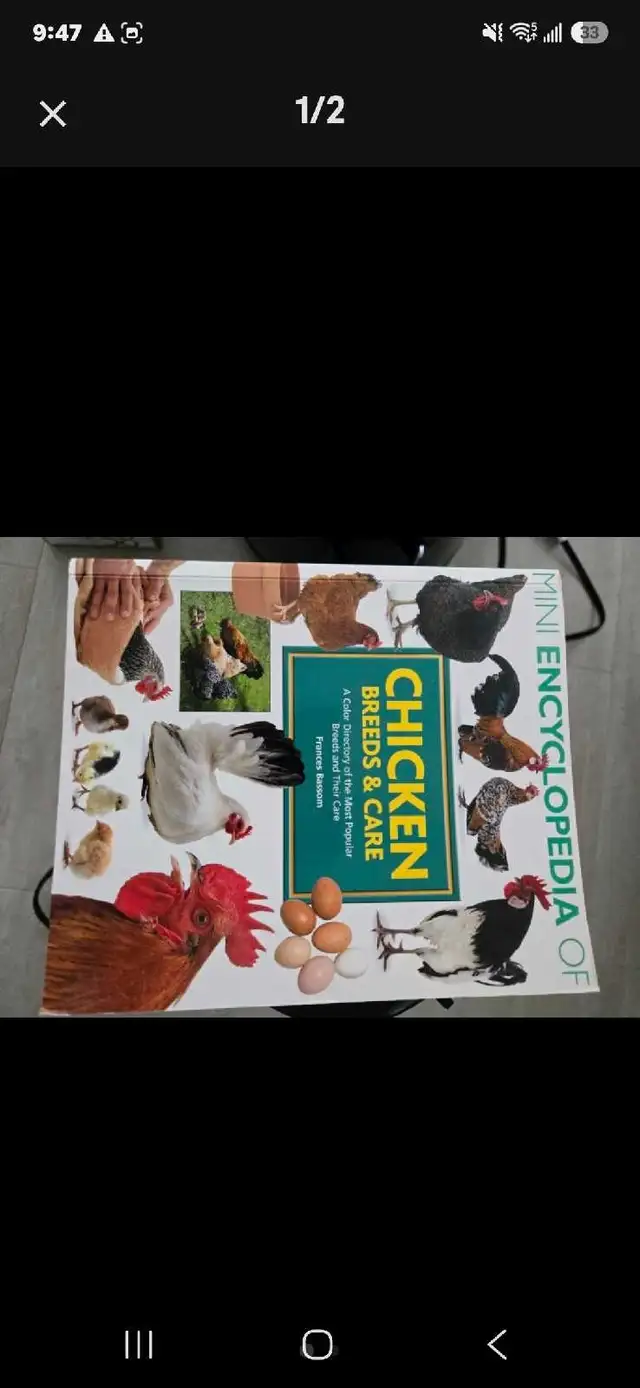 chicken book