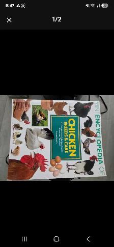 chicken book