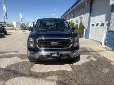 2023 Ford F-150 XL - Photo 2