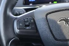 2022 Ford Mustang Mach-E - Photo 14