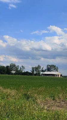 Dairy goat farm looking for herdsman