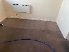 Perfact_Fresh Home Carpet_Couch_Rugs_Upholstery - Photo 2