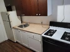 1 BR Apt Available Now - Photo 7