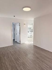 beautiful 4-1/2 in Mtl city center west. - Photo 3