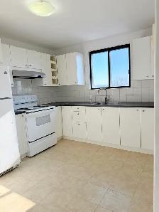beautiful 4-1/2 in Mtl city center west. - Photo 4