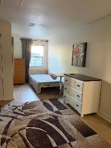 Bright Renovated Bachelor Basement Apartment — Bathurst & Steele