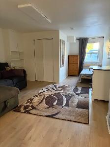 Bright Renovated Bachelor Basement Apartment — Bathurst & Steele - Photo 3