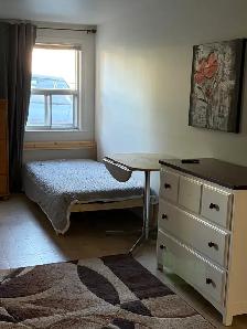 Bright Renovated Bachelor Basement Apartment — Bathurst & Steele - Photo 7