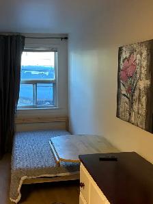 Bright Renovated Bachelor Basement Apartment — Bathurst & Steele - Photo 8