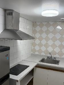 Bright Renovated Bachelor Basement Apartment — Bathurst & Steele - Photo 10