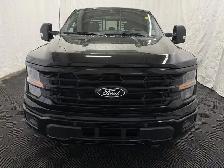 2024 Ford F-150 | XLT 302A SPORT 5.0 V8 | BLACK APPEARANCE PKG - Photo 5