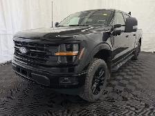2024 Ford F-150 | XLT 302A SPORT 5.0 V8 | BLACK APPEARANCE PKG - Photo 8