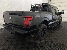 2024 Ford F-150 | XLT 302A SPORT 5.0 V8 | BLACK APPEARANCE PKG - Photo 17