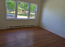 Grand 5 1/2, Napierville - Photo 2