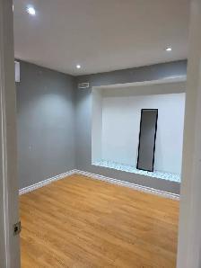 One seprate room in basement - Photo 2