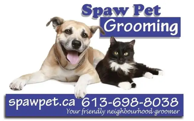CERTIFIED DOG AND CAT GROOMER