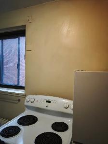 Renovated Bathroom large 3 ½ w/one bedroom in CDN. October - Photo 4